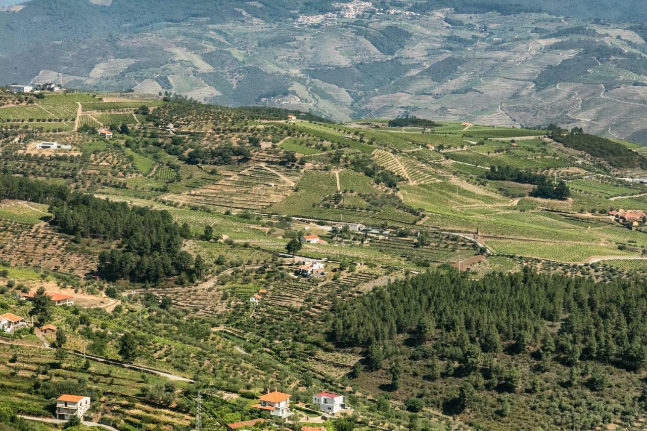 Quinta Da Padrela Winery House Villa Tabuaco Exterior photo